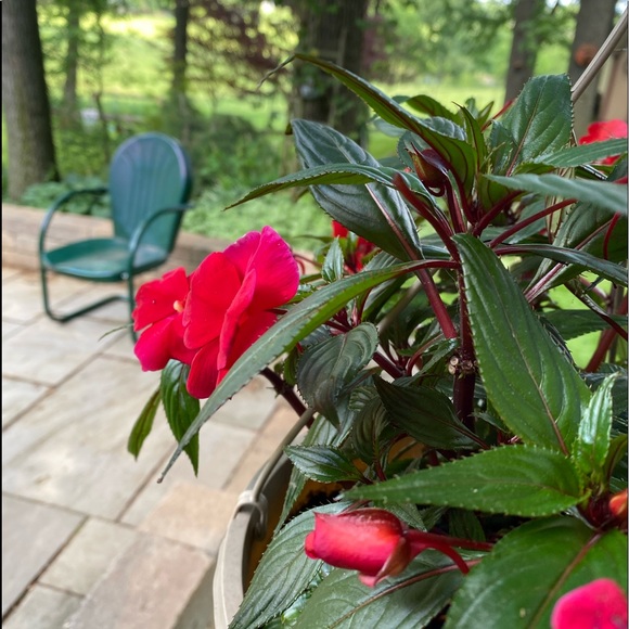 ⭐️SALE•BOGO 1/2 OFF-ENTIRE CLOSET - Picture 5 of 8